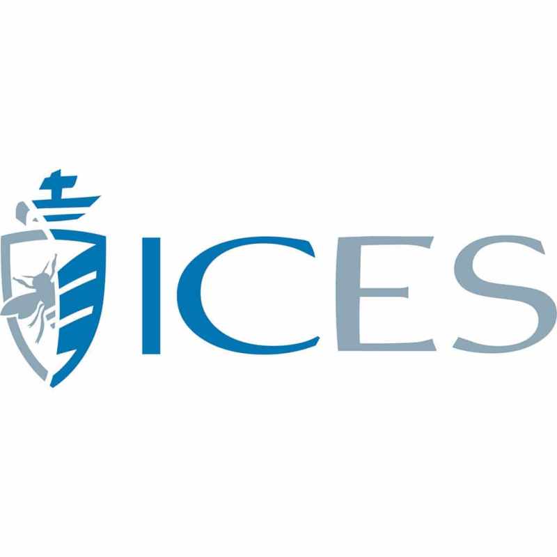 Logo ICES